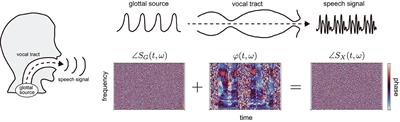 Phase characteristics of vocal tract filter can distinguish speakers